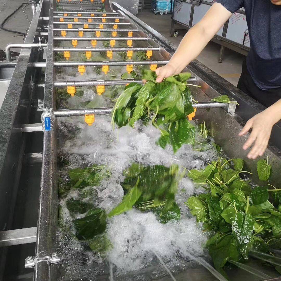 蔬菜水果清洗机商用 全自动气泡清洗机 洗菜机
