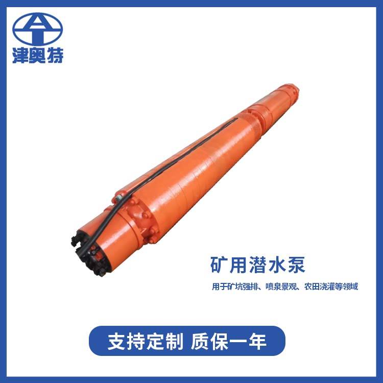 10kv高压矿用泵 铁矿排水 立卧两用