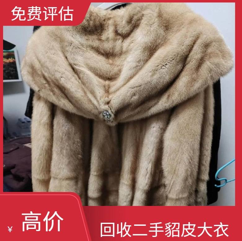 上海金山貂皮大衣回收电话-貂皮大衣高价收购-免费估价