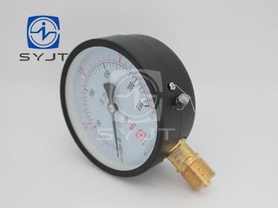 耐震压力表   LP