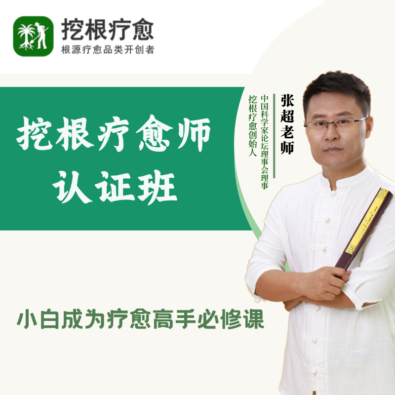 挖根疗愈师-认证班,小白进阶疗愈师必修,疗愈师培训,疗愈师证书