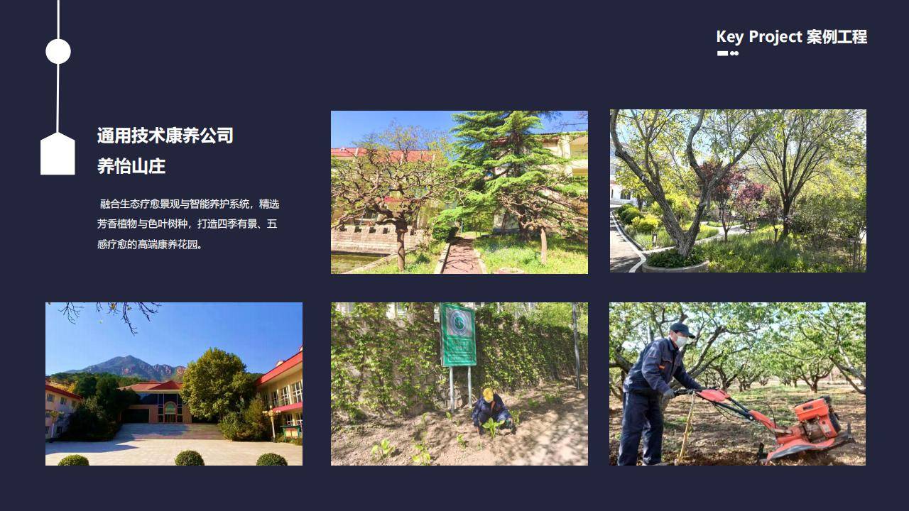 园林绿化施工养护 承包小区庭院绿化工程一站式服务 资质齐全 品质保证