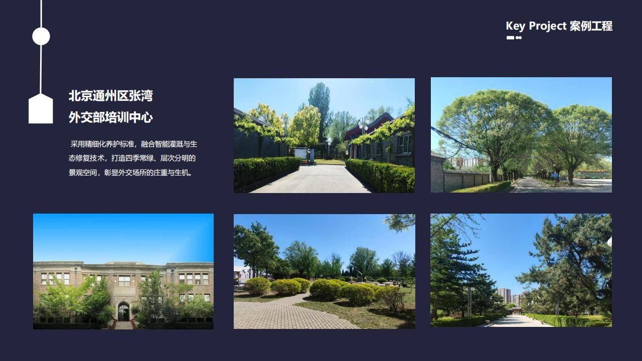 园林整理修理  树木修剪  绿植修剪美型  绿化垃圾清理  客户口碑良好 以诚信为准则