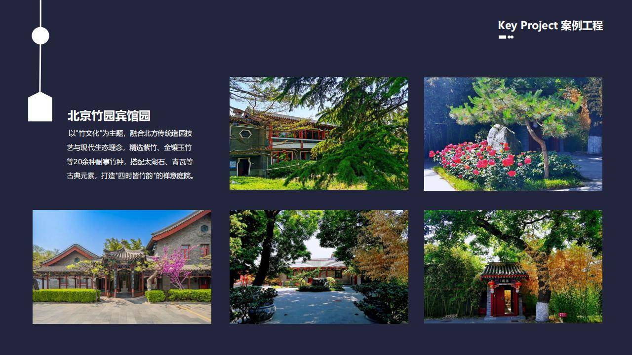 朝阳区绿化施工 冬季树木养护防寒 定制服务 技术人员上门勘测