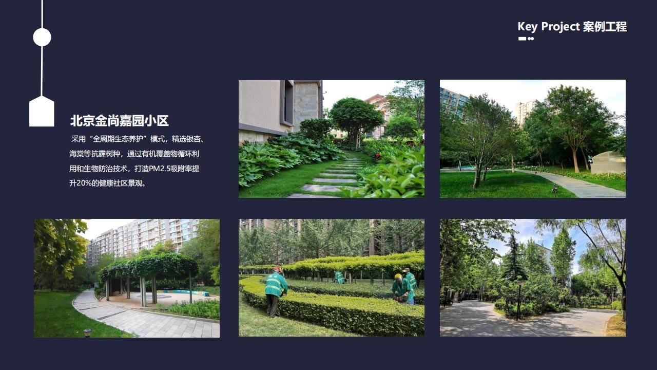 密云区企业果园养护管理 一站式园林绿化管理服务