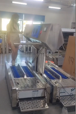 食品厂车间入口双通道智能人员卫生清洁站
