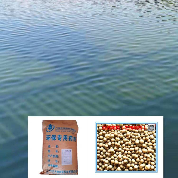 复合生物菌底质改良剂河道景观水库黑臭水体底泥生物降解底改颗粒稳定水质消减底泥有机物