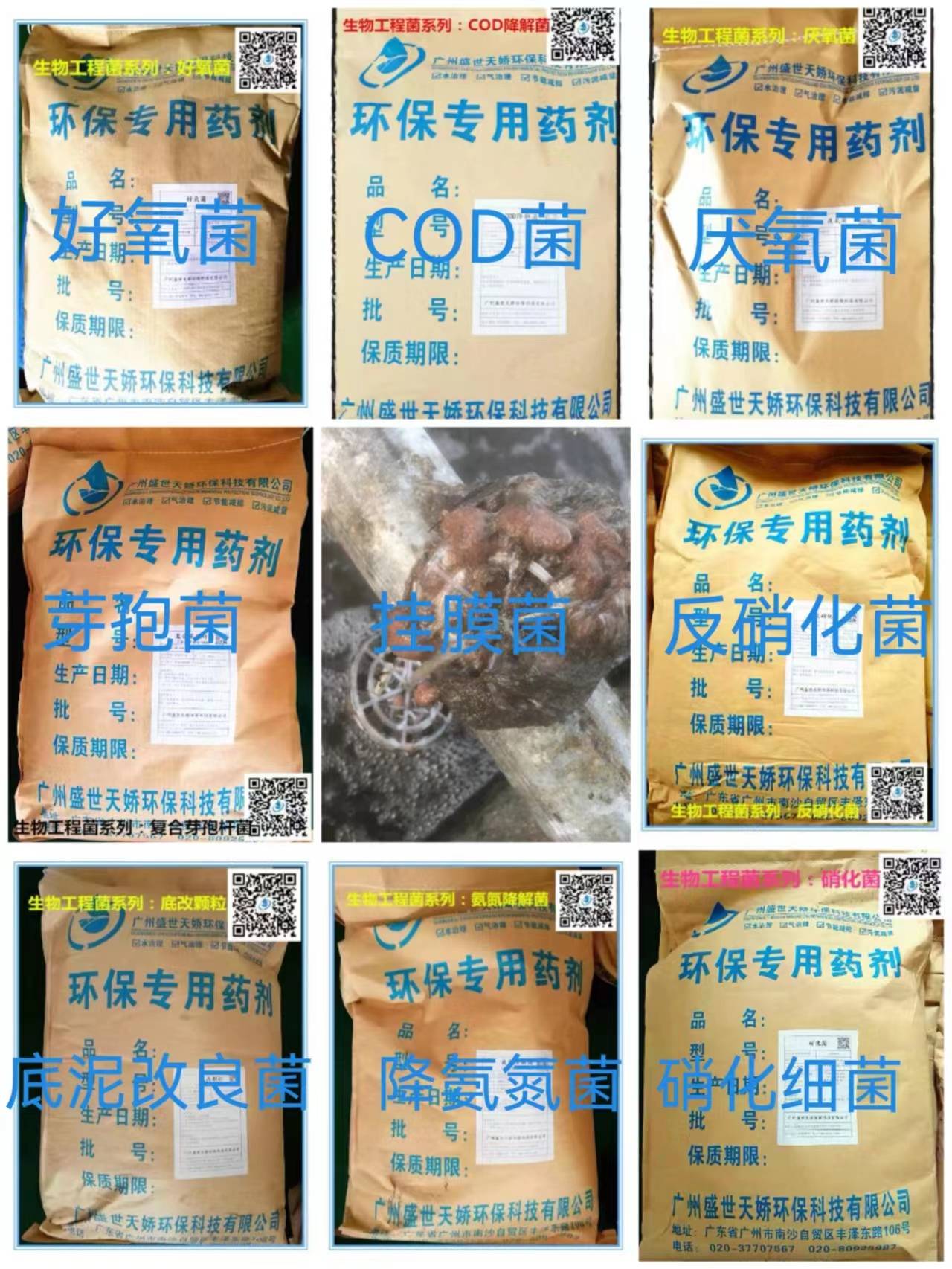 盛世天娇环保FS型污水处理厌氧菌厌氧缺氧兼氧池一体设备复合型微生物环保净水剂设备系统调试修复改善水质
