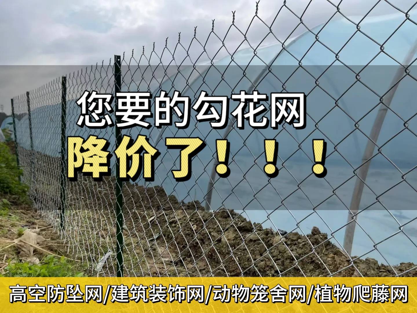 勾花网界宝藏款防护力拉满