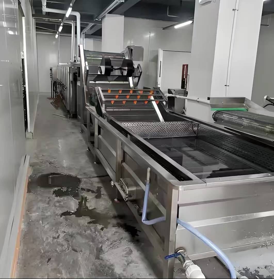 蔬菜泡沫螺旋清洗机