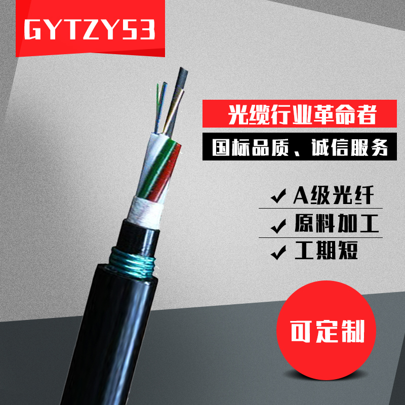 直地埋阻燃光缆4/8/12/16/36/48/96芯GYTZY53-24b1.3单模铠装光纤
