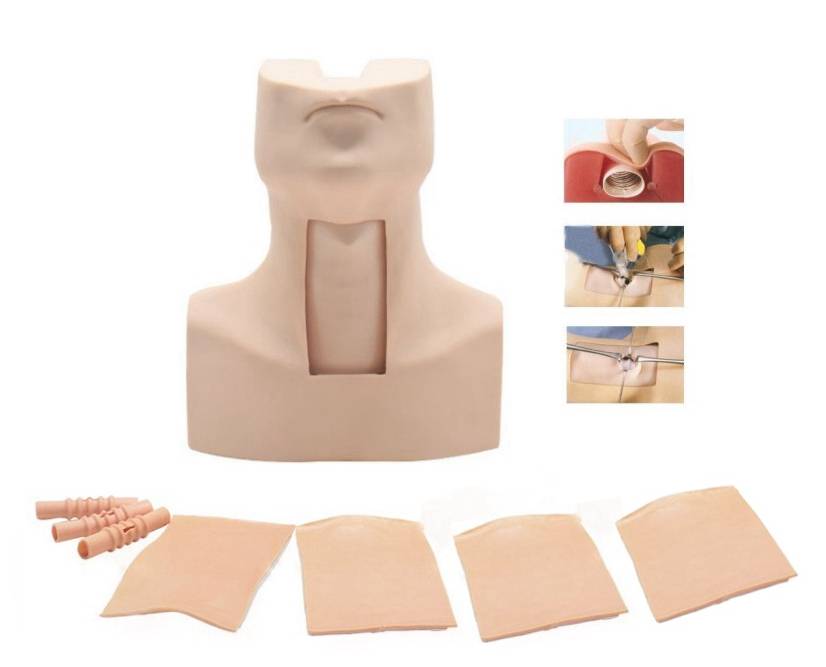 【益联医学】环甲膜穿刺及气管切开插管训练模型