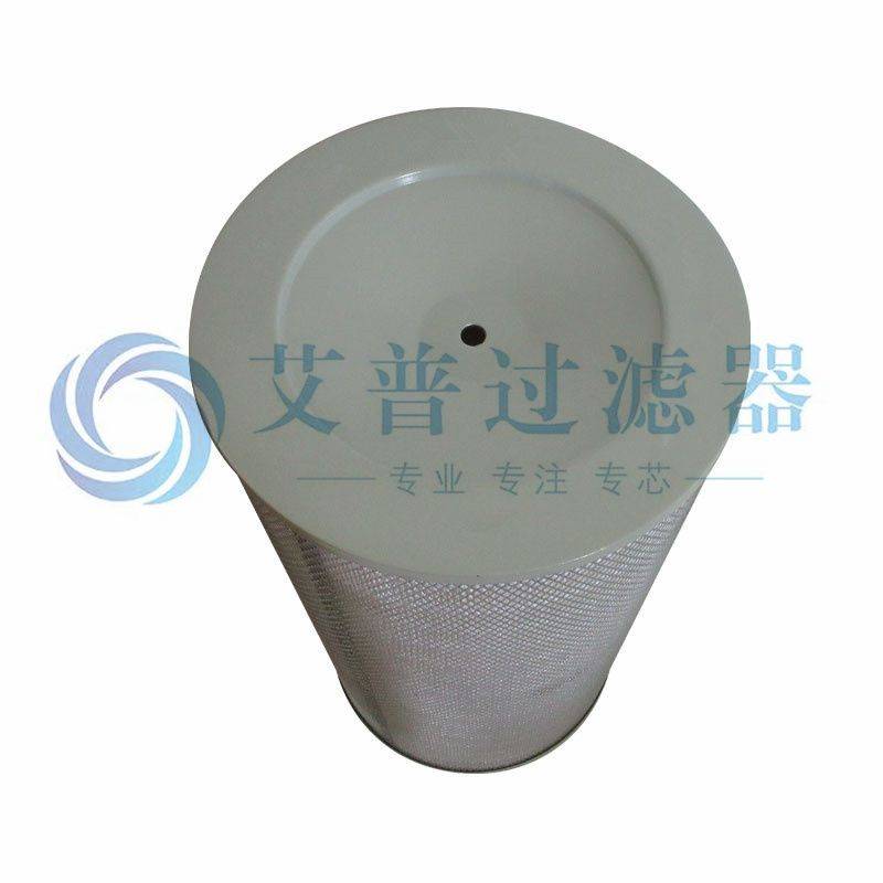 空气过滤器36864361 + 36864379 AF25187 + AF4254 P607369