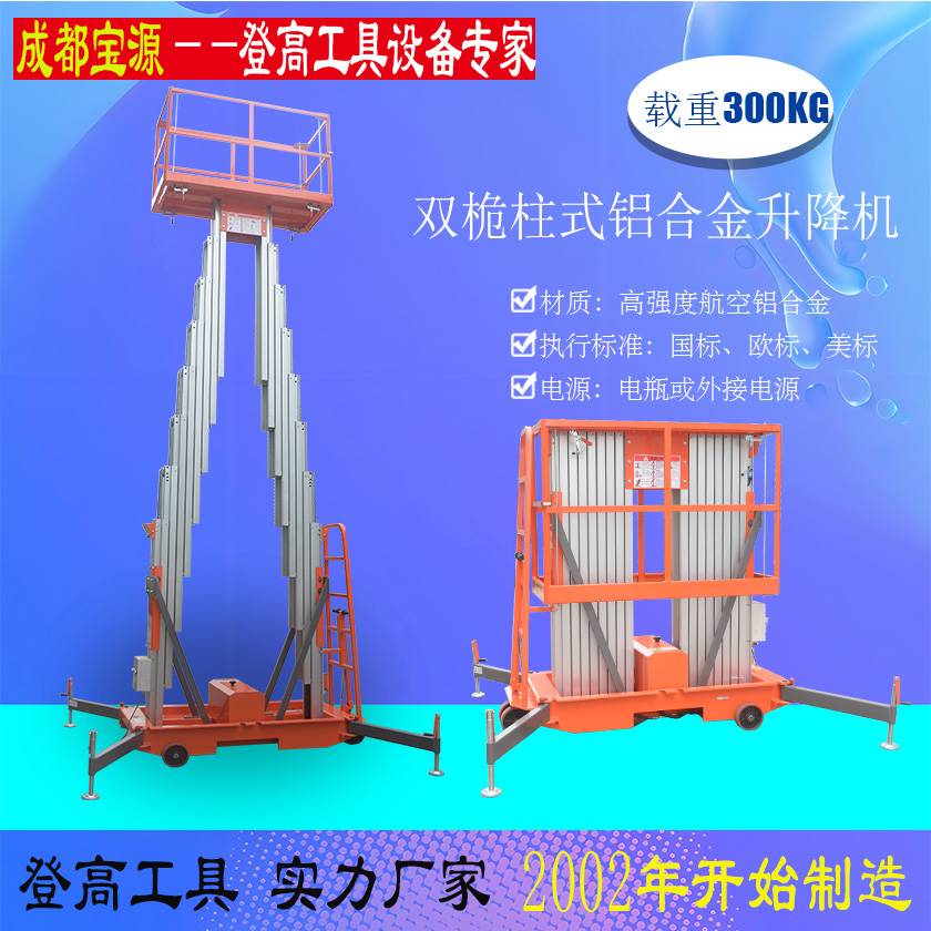 宝源双桅柱式升降机8米10米高空作业车货梯平台支持租赁