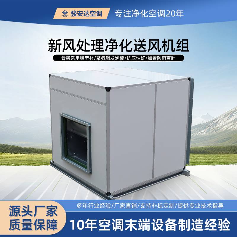 新风鲜风柜 中央空调新风柜 管道送风柜 净化排风一体柜