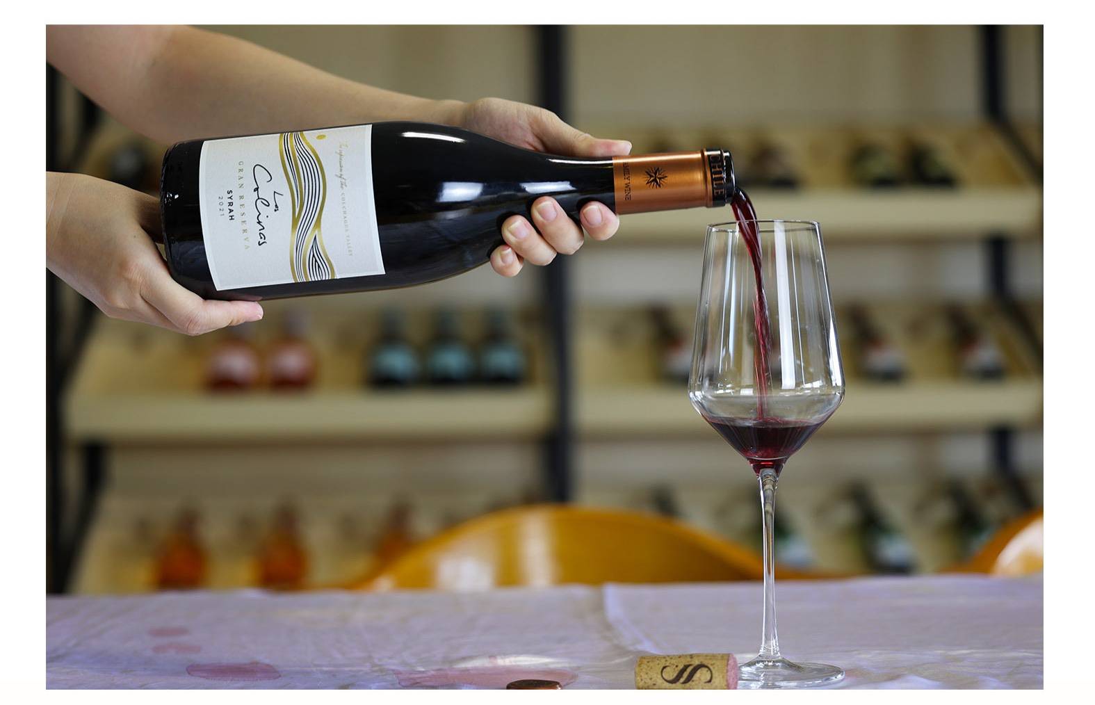 山丘西拉特藏红葡萄酒 智利空加瓜谷原装批发