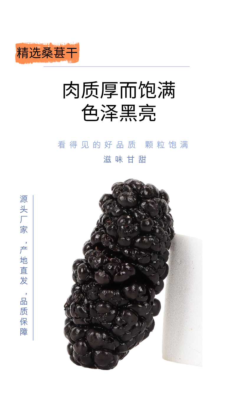 桑葚，果干，甜蜜蜜