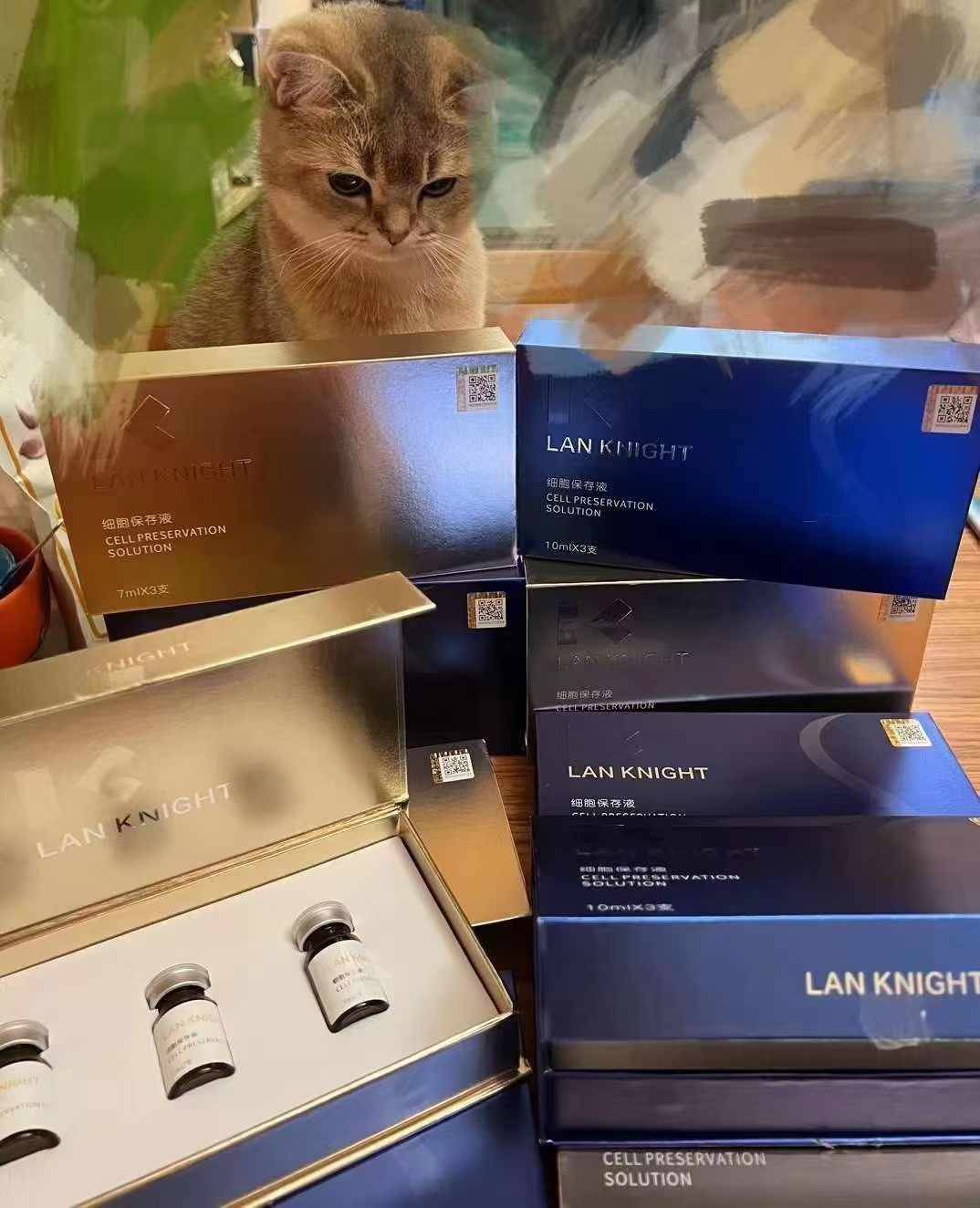 LANKNIGHT蓝骑士溶脂&提升