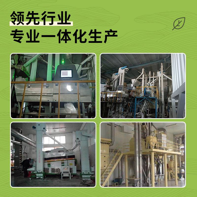 黑小麦 黑麦 山东黑小麦 山东黑麦