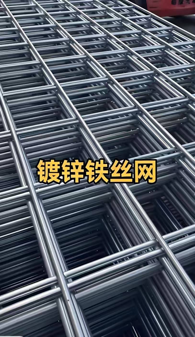 镀锌电焊网、防护围栏
